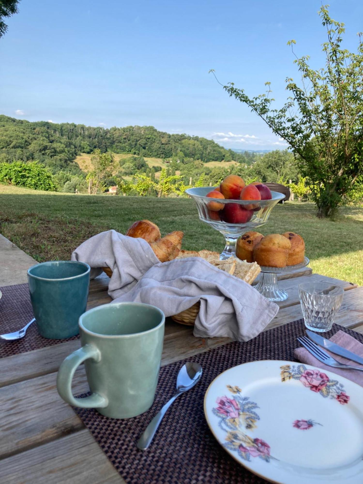 Domaine Labouroume Hotel Salies-de-Bearn Ngoại thất bức ảnh